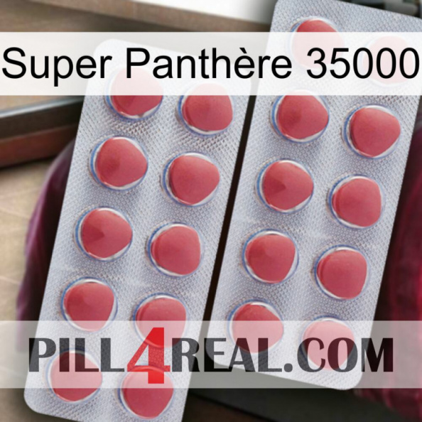 Super Panthère 35000 19.jpg